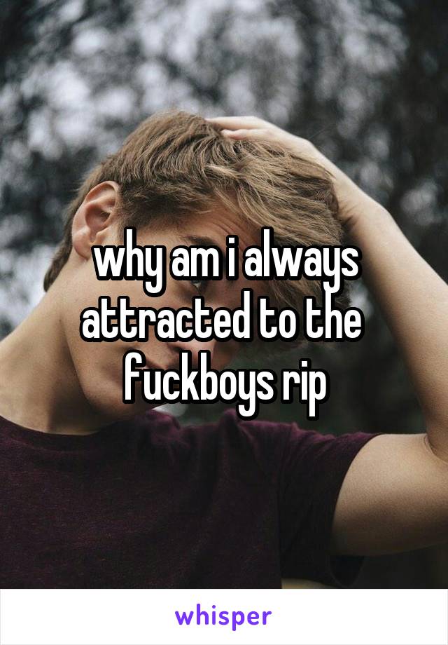 why am i always attracted to the  fuckboys rip