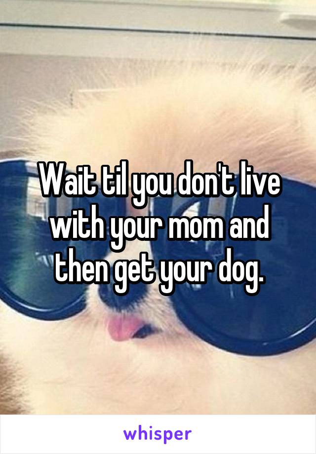 Wait til you don't live with your mom and then get your dog.