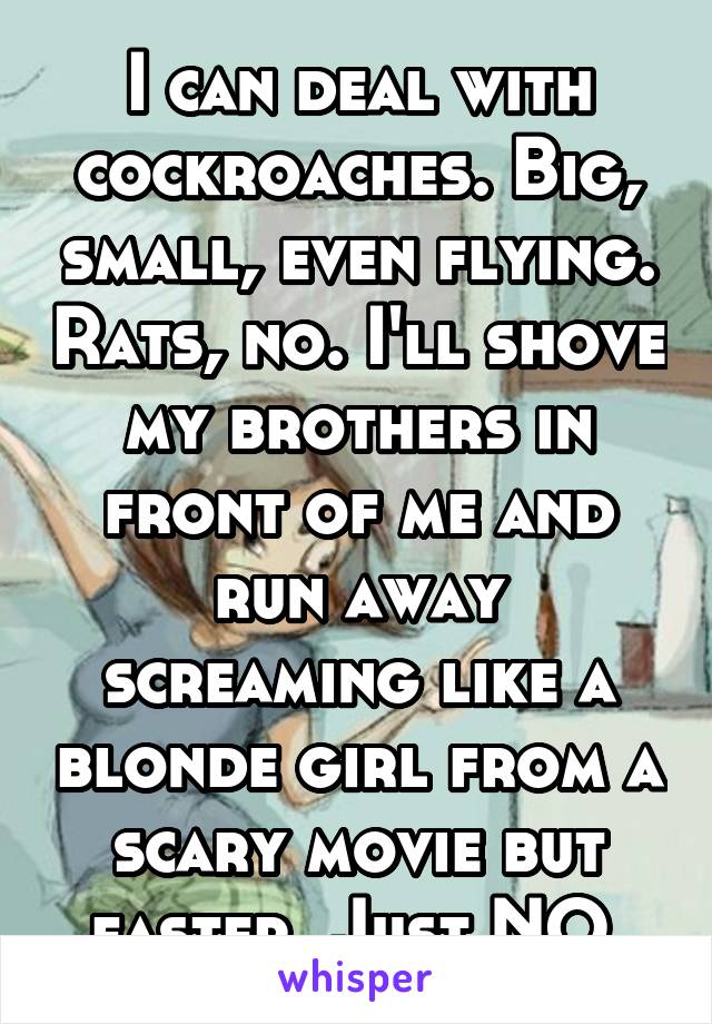 I can deal with cockroaches. Big, small, even flying. Rats, no. I'll shove my brothers in front of me and run away screaming like a blonde girl from a scary movie but faster. Just NO.