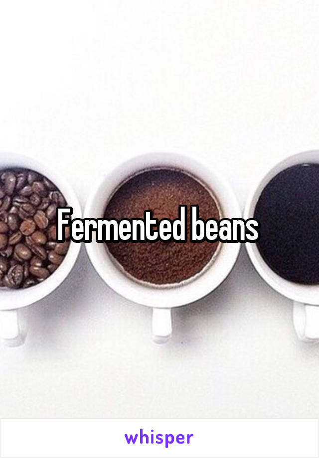 Fermented beans 