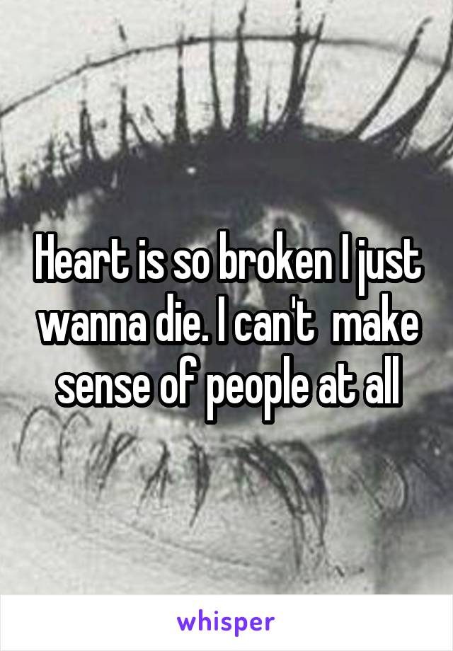 Heart is so broken I just wanna die. I can't  make sense of people at all