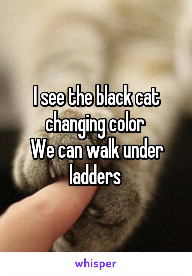 I see the black cat changing color 
We can walk under ladders 