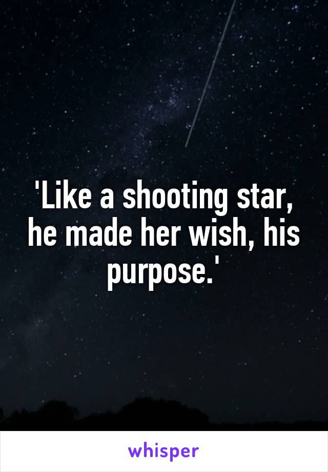 'Like a shooting star, he made her wish, his purpose.'