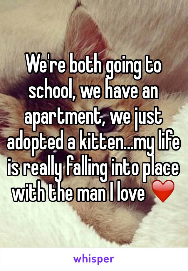 We're both going to school, we have an apartment, we just adopted a kitten...my life is really falling into place with the man I love ❤️
