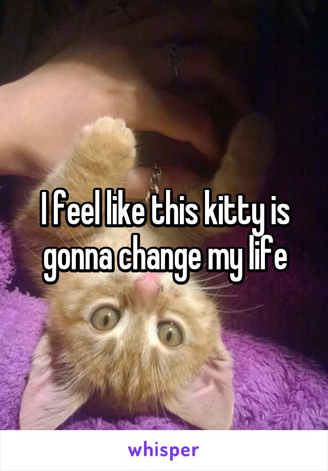 I feel like this kitty is gonna change my life