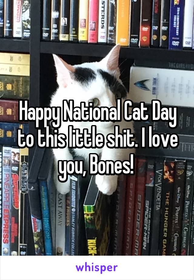 Happy National Cat Day to this little shit. I love you, Bones! 