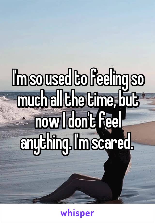 I'm so used to feeling so much all the time, but now I don't feel anything. I'm scared. 