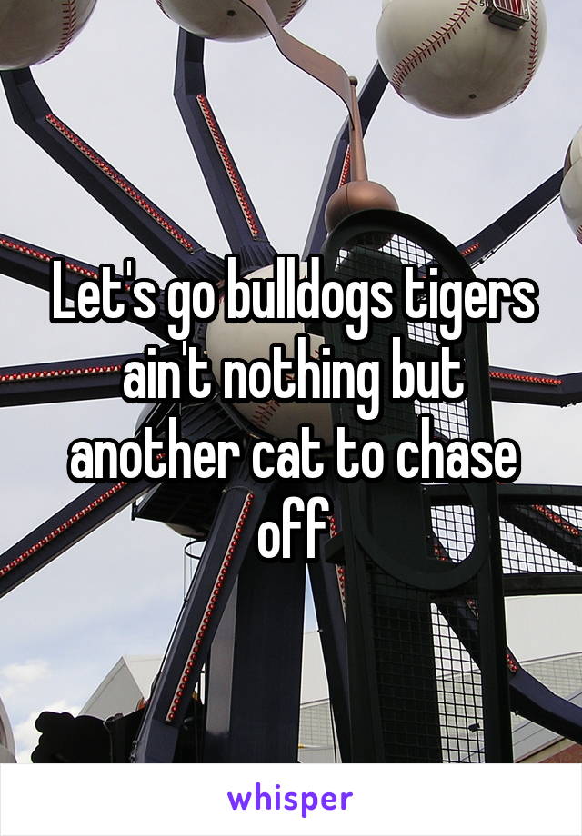 Let's go bulldogs tigers ain't nothing but another cat to chase off