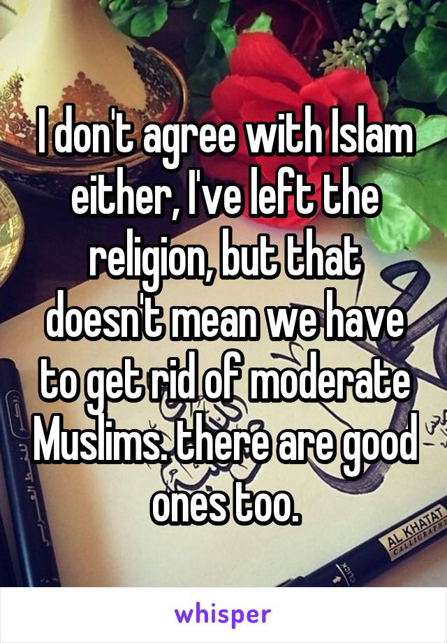 I don't agree with Islam either, I've left the religion, but that doesn't mean we have to get rid of moderate Muslims. there are good ones too.