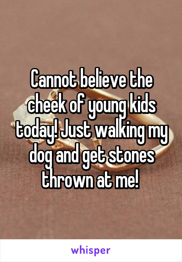 Cannot believe the cheek of young kids today! Just walking my dog and get stones thrown at me! 