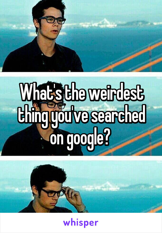 What's the weirdest thing you've searched on google? 