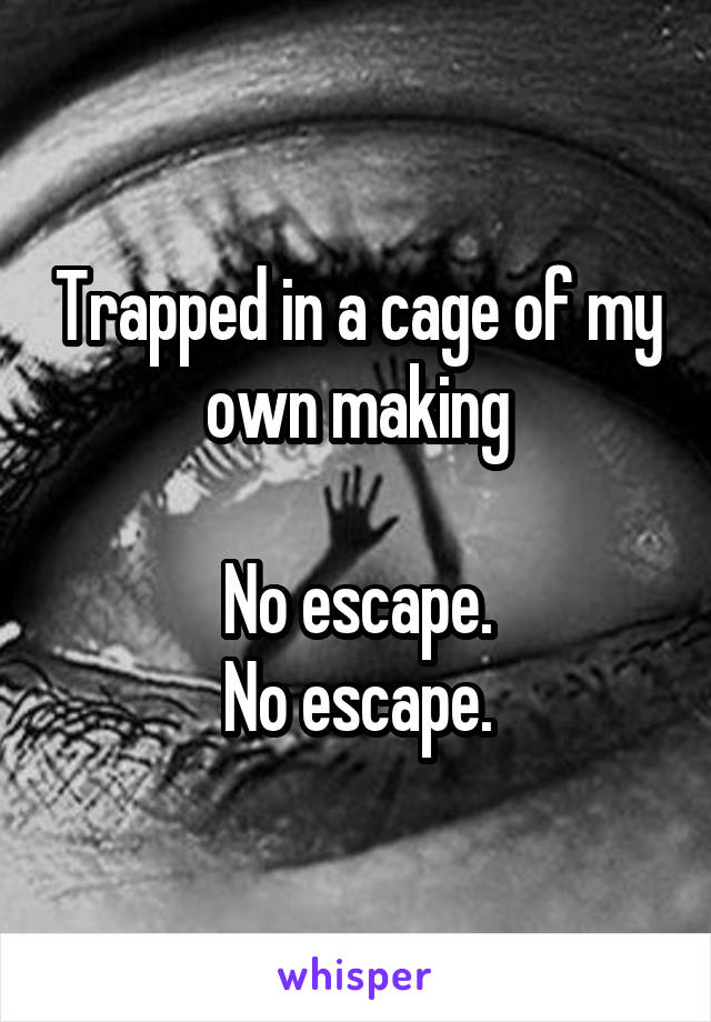 Trapped in a cage of my own making

No escape.
No escape.