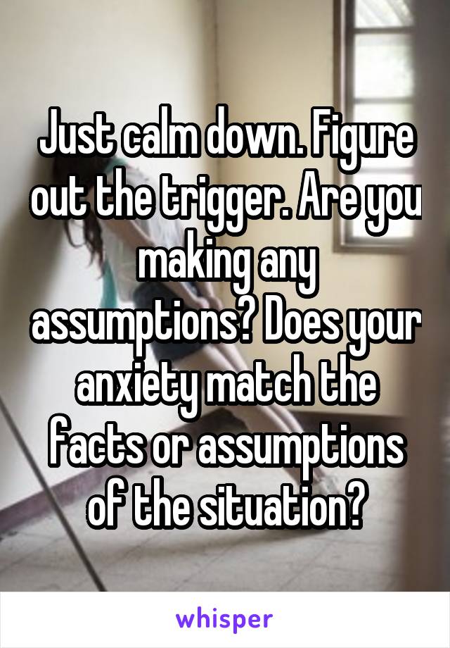 Just calm down. Figure out the trigger. Are you making any assumptions? Does your anxiety match the facts or assumptions of the situation?