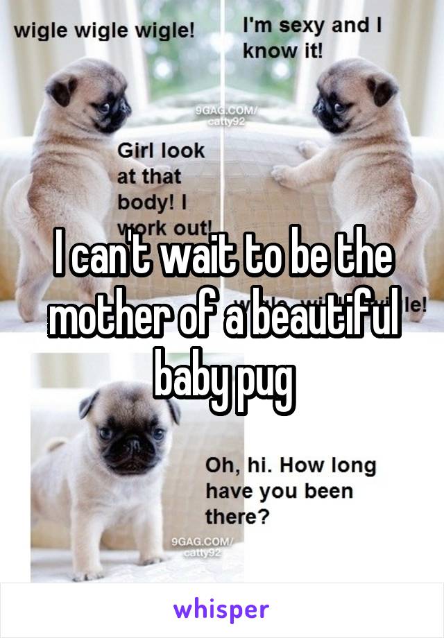 I can't wait to be the mother of a beautiful baby pug