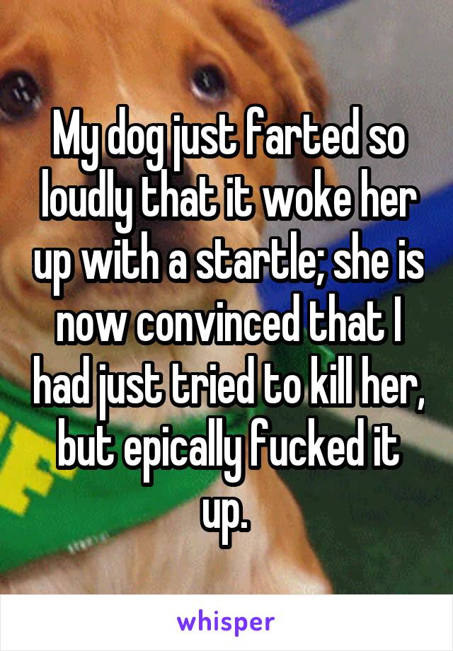 My dog just farted so loudly that it woke her up with a startle; she is now convinced that I had just tried to kill her, but epically fucked it up. 