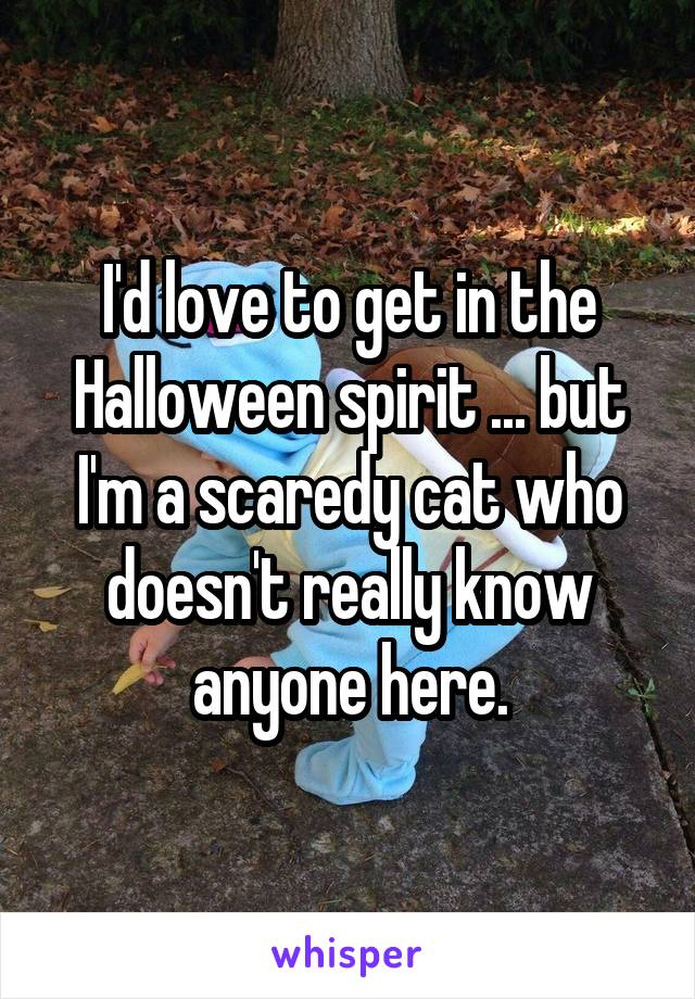 I'd love to get in the Halloween spirit ... but I'm a scaredy cat who doesn't really know anyone here.