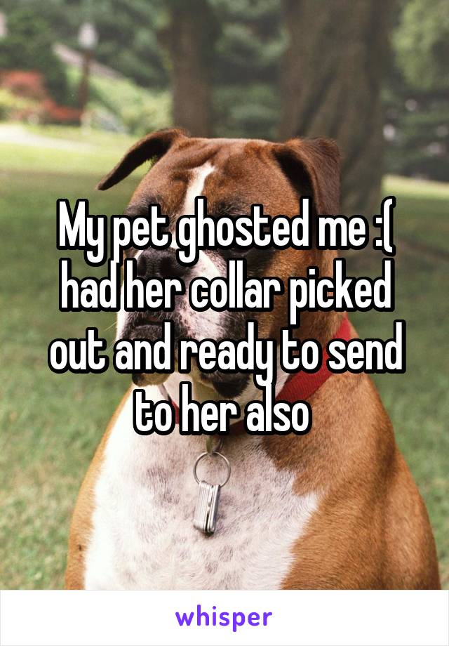 My pet ghosted me :( had her collar picked out and ready to send to her also 
