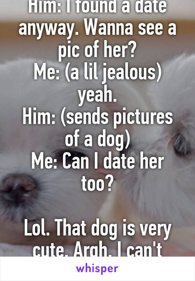 Him: I found a date anyway. Wanna see a pic of her?
Me: (a lil jealous) yeah.
Him: (sends pictures of a dog)
Me: Can I date her too?

Lol. That dog is very cute. Argh. I can't even.