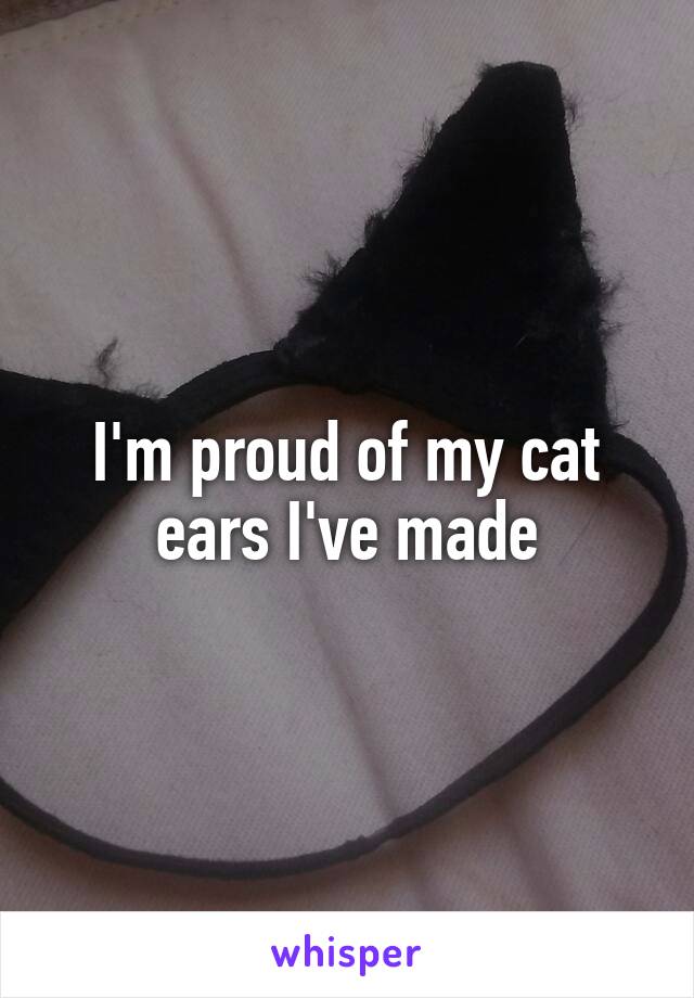 I'm proud of my cat ears I've made