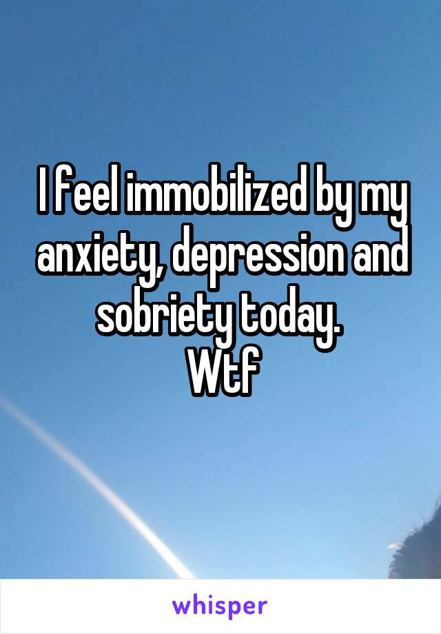 I feel immobilized by my anxiety, depression and sobriety today. 
Wtf
