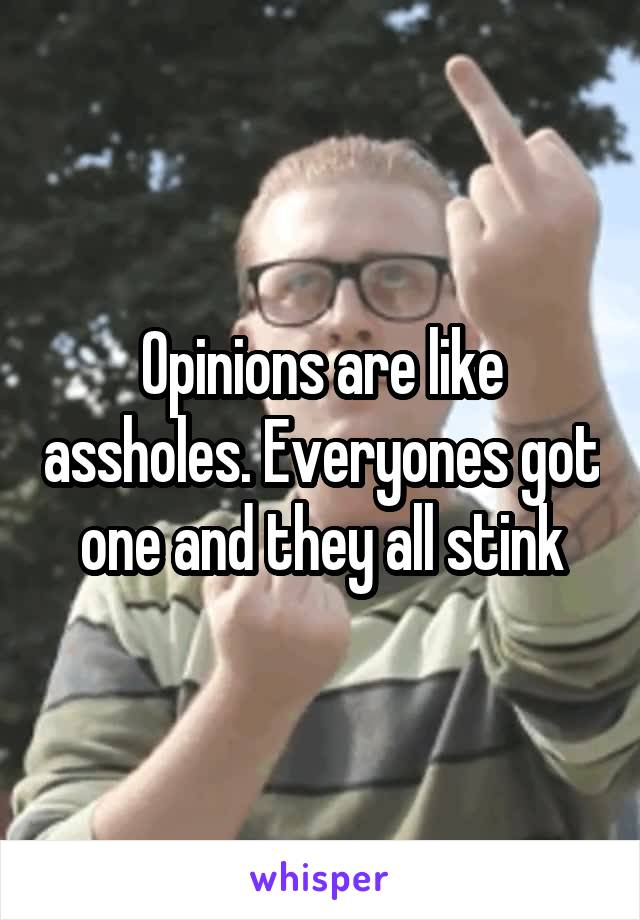 Opinions are like assholes. Everyones got one and they all stink