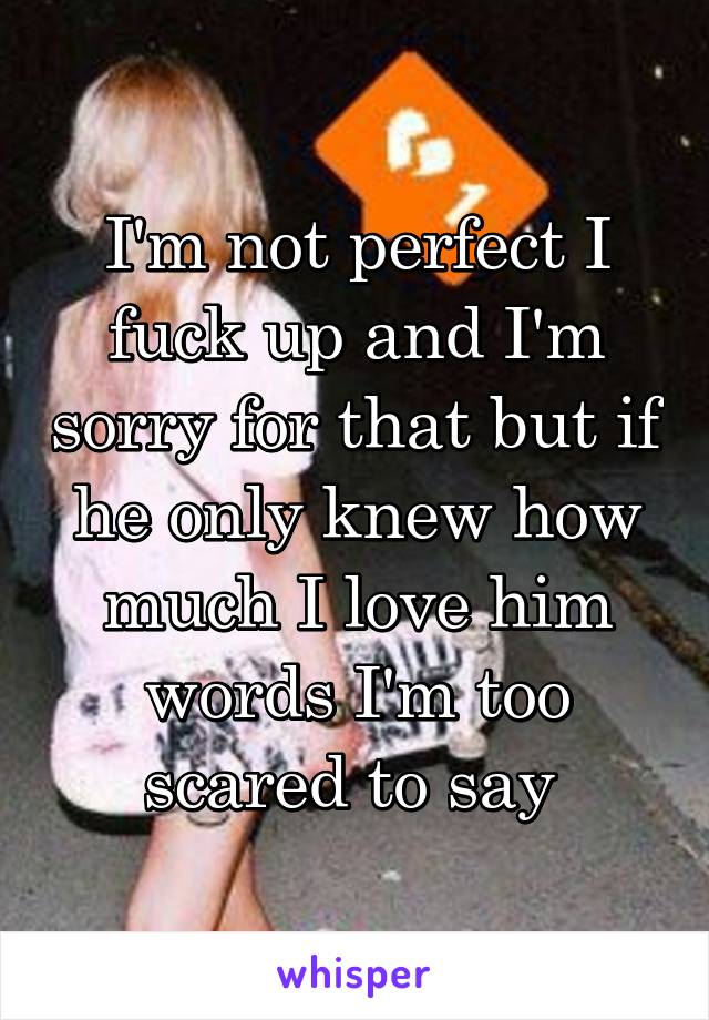 I'm not perfect I fuck up and I'm sorry for that but if he only knew how much I love him words I'm too scared to say 