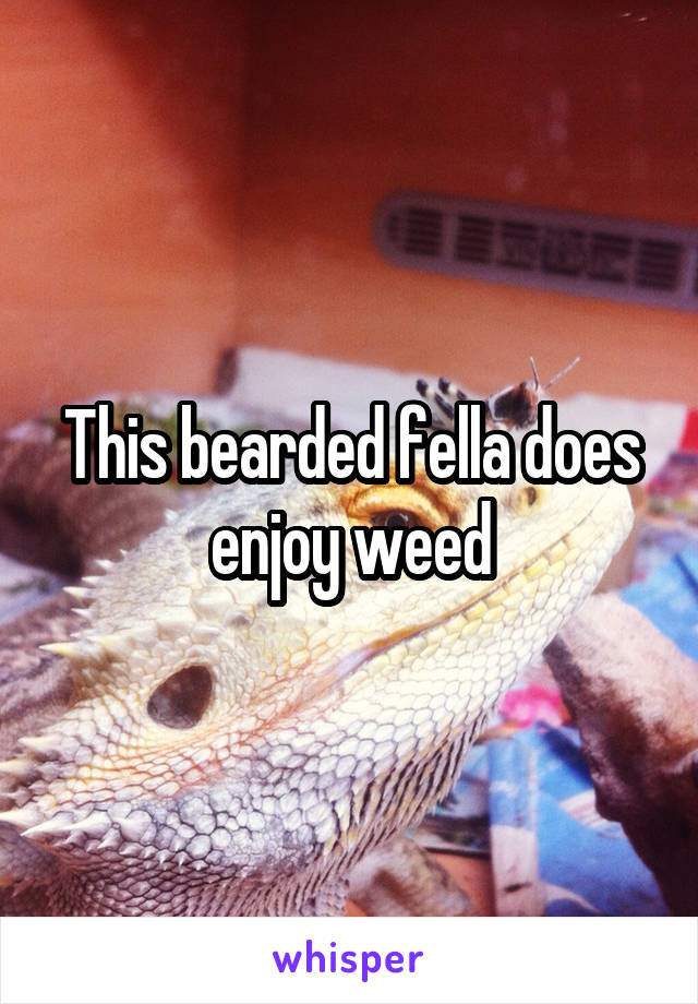 This bearded fella does enjoy weed