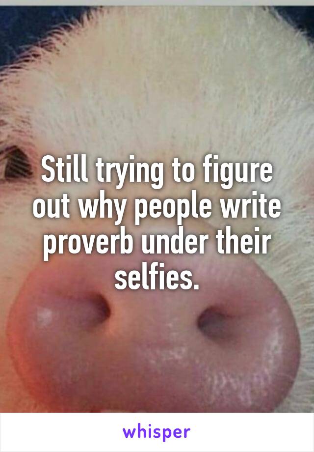 Still trying to figure out why people write proverb under their selfies.