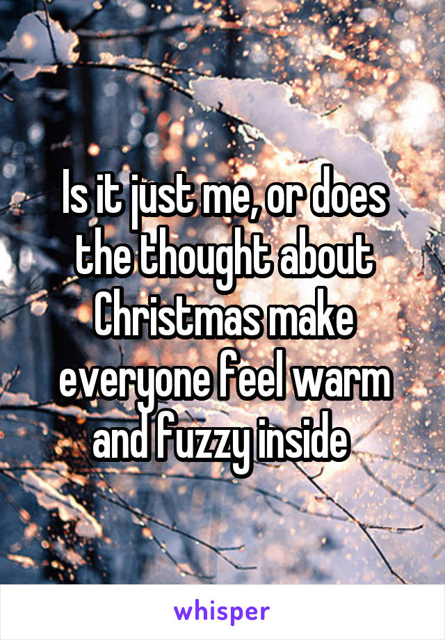 Is it just me, or does the thought about Christmas make everyone feel warm and fuzzy inside 