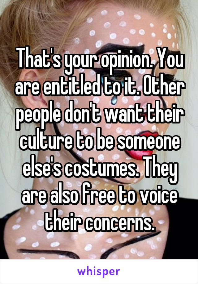 That's your opinion. You are entitled to it. Other people don't want their culture to be someone else's costumes. They are also free to voice their concerns.