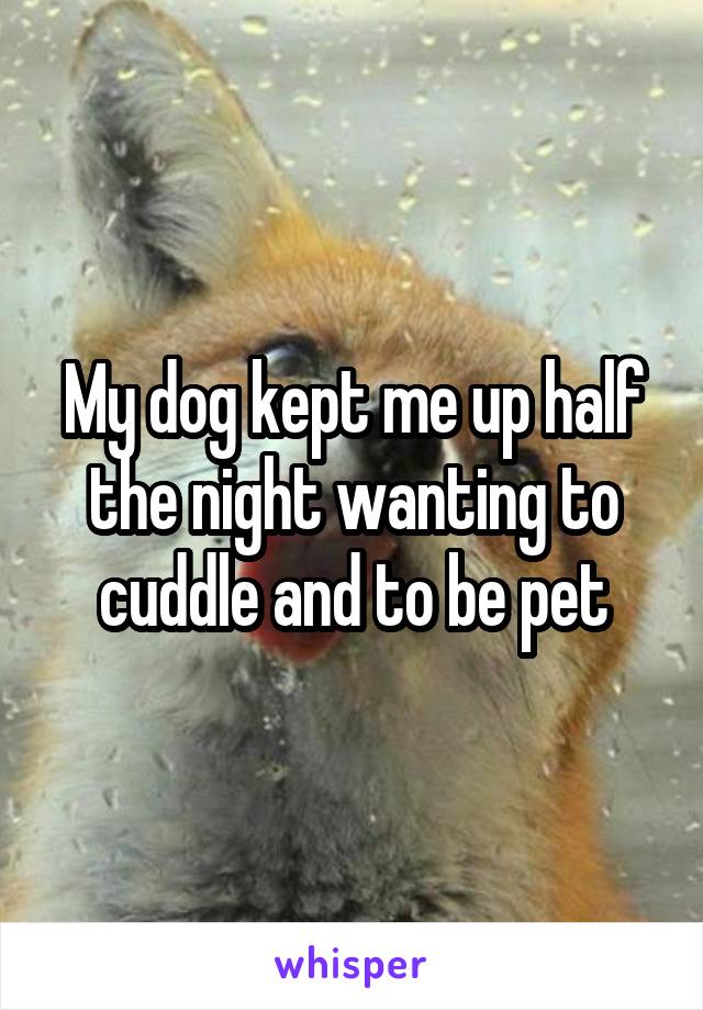 My dog kept me up half the night wanting to cuddle and to be pet