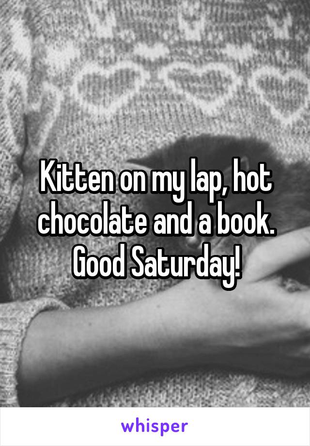Kitten on my lap, hot chocolate and a book.
Good Saturday!