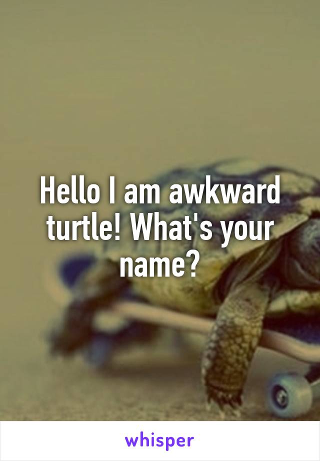 Hello I am awkward turtle! What's your name?