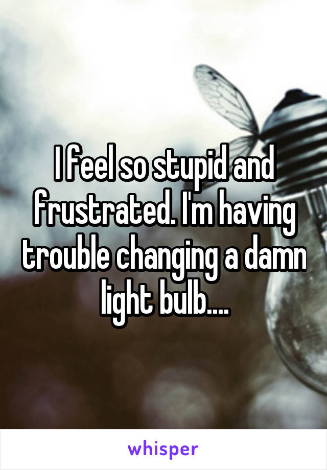 I feel so stupid and frustrated. I'm having trouble changing a damn light bulb....