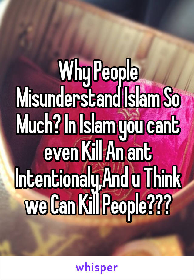 Why People Misunderstand Islam So Much? In Islam you cant even Kill An ant Intentionaly,And u Think we Can Kill People???