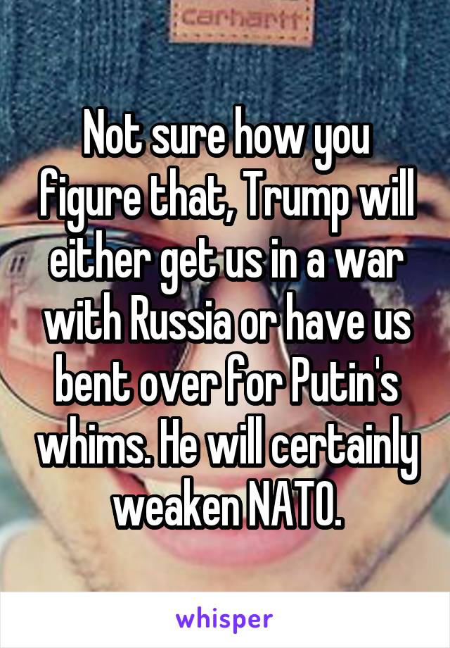 Not sure how you figure that, Trump will either get us in a war with Russia or have us bent over for Putin's whims. He will certainly weaken NATO.