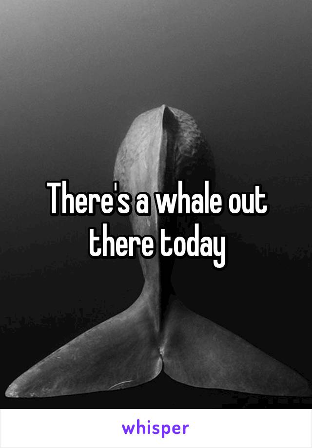 There's a whale out there today