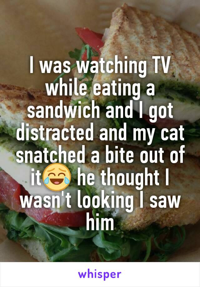 I was watching TV while eating a sandwich and I got distracted and my cat snatched a bite out of it😂 he thought I wasn't looking I saw him