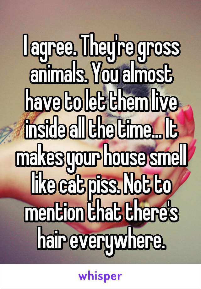 I agree. They're gross animals. You almost have to let them live inside all the time... It makes your house smell like cat piss. Not to mention that there's hair everywhere.