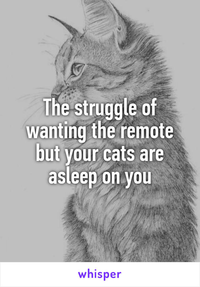 The struggle of wanting the remote but your cats are asleep on you