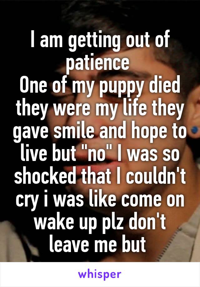 I am getting out of patience 
One of my puppy died they were my life they gave smile and hope to live but "no" I was so shocked that I couldn't cry i was like come on wake up plz don't leave me but 