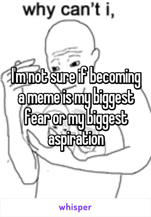 I'm not sure if becoming a meme is my biggest fear or my biggest aspiration