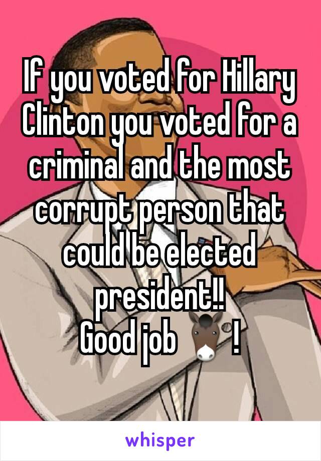 If you voted for Hillary Clinton you voted for a criminal and the most corrupt person that could be elected president!!
Good job🐴!