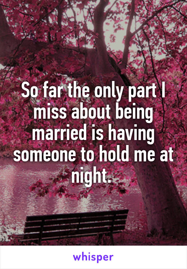So far the only part I miss about being married is having someone to hold me at night. 