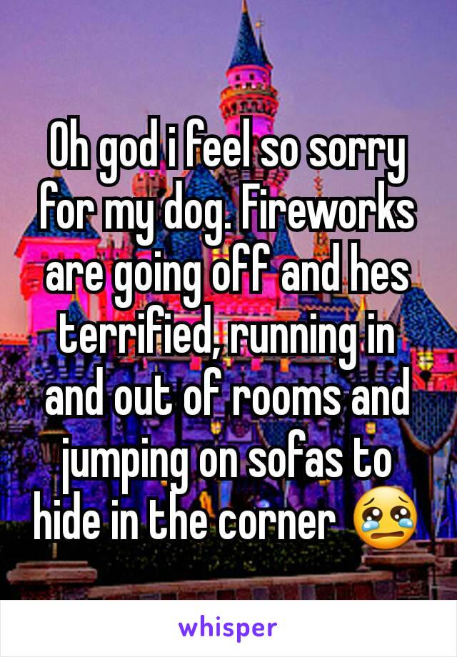 Oh god i feel so sorry for my dog. Fireworks are going off and hes terrified, running in and out of rooms and jumping on sofas to hide in the corner 😢