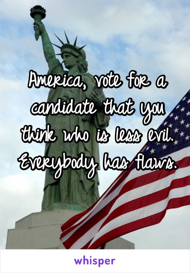 America, vote for a candidate that you think who is less evil. Everybody has flaws.
