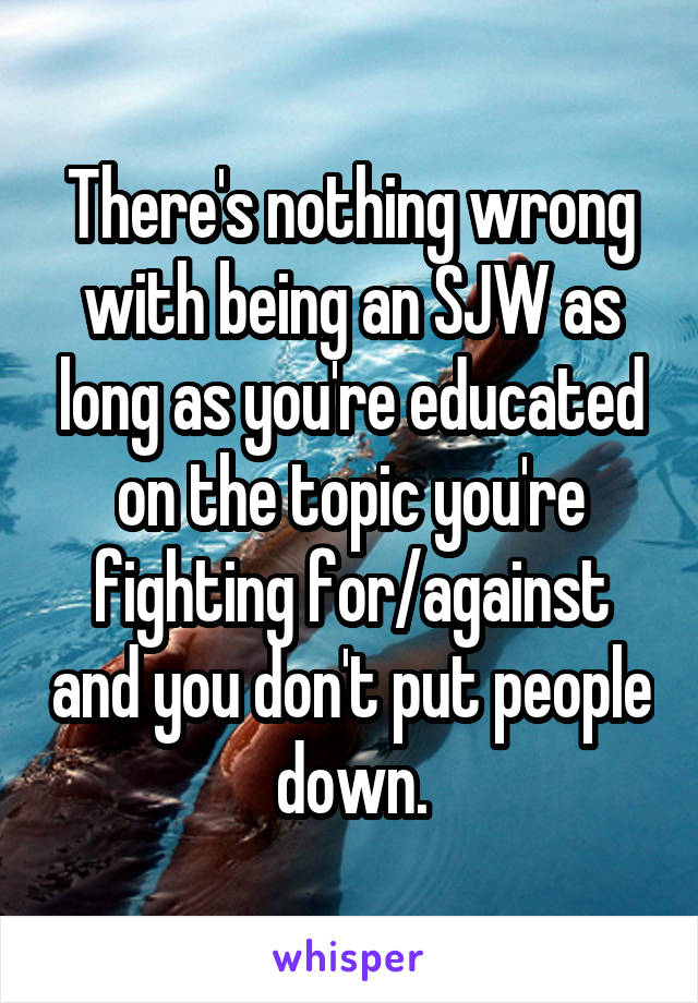 There's nothing wrong with being an SJW as long as you're educated on the topic you're fighting for/against and you don't put people down.