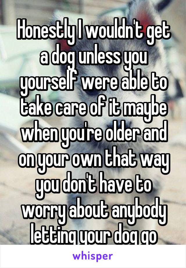 Honestly I wouldn't get a dog unless you yourself were able to take care of it maybe when you're older and on your own that way you don't have to worry about anybody letting your dog go