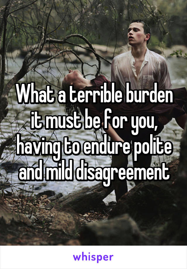 What a terrible burden it must be for you, having to endure polite and mild disagreement