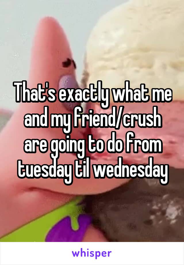 That's exactly what me and my friend/crush are going to do from tuesday til wednesday